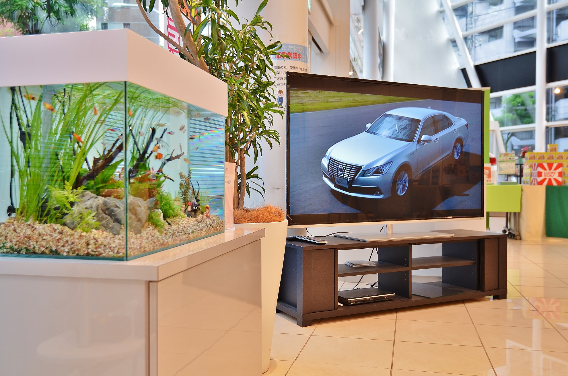 Aquarium TOJO 群馬 水空間 海水魚・サンゴ水槽水槽の維持、管理。群馬